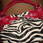 zebra1 zebra1