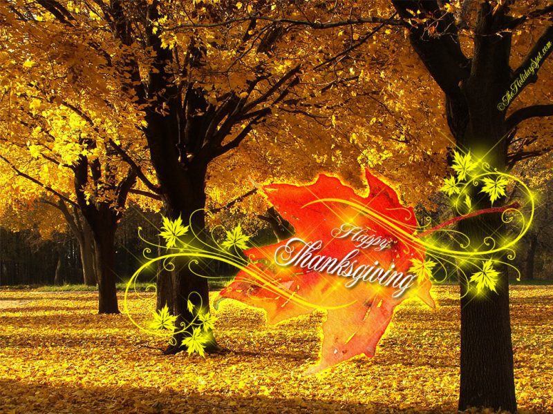 thanksgiving-wallpaper-01 • The Fashionable Housewife