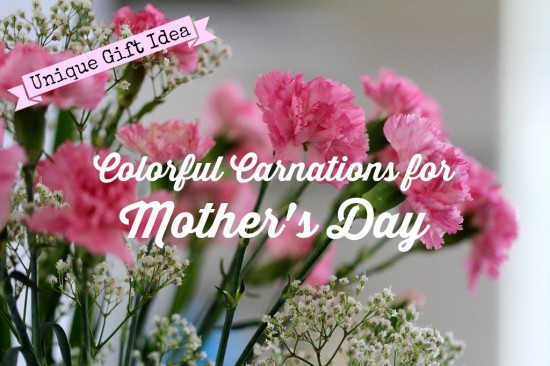Colorful Carnations for Your Mom