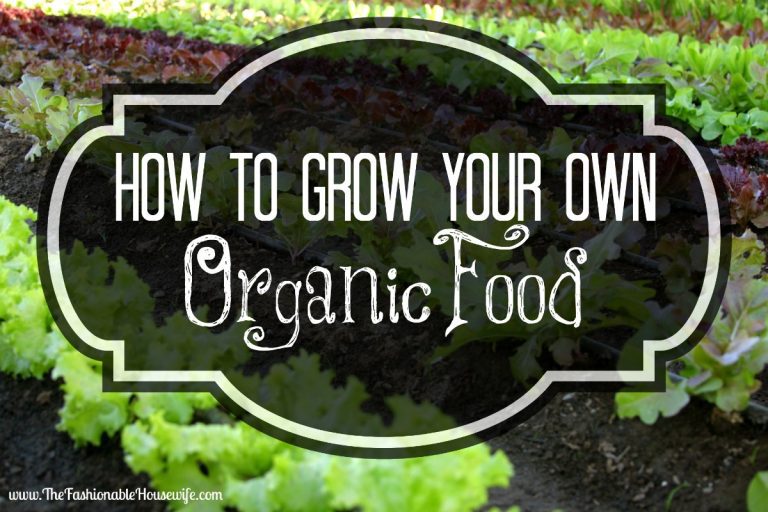 How To Grow Your Own Organic Food