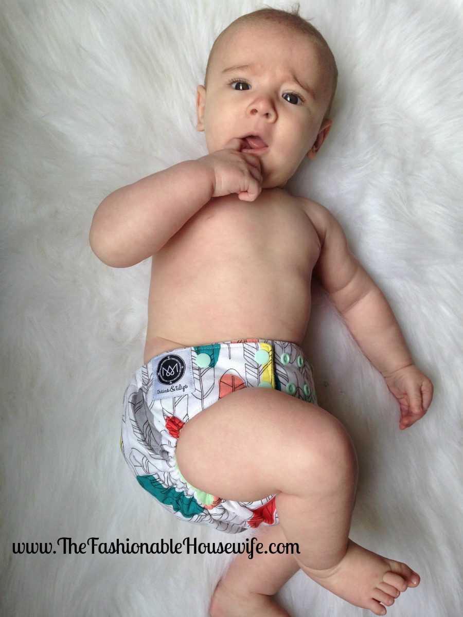 trains and tulips cloth diaper white feather fluff