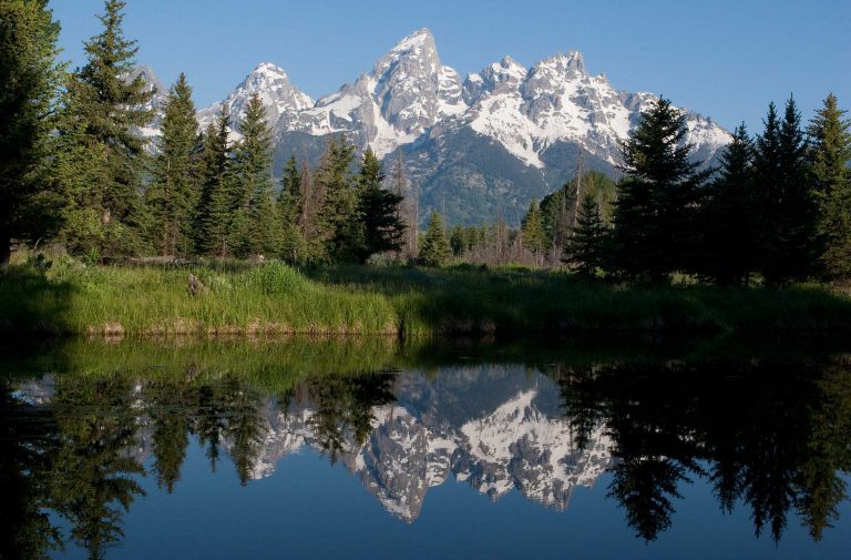 Summer Vacation Ideas: Family Fun at Jackson Hole