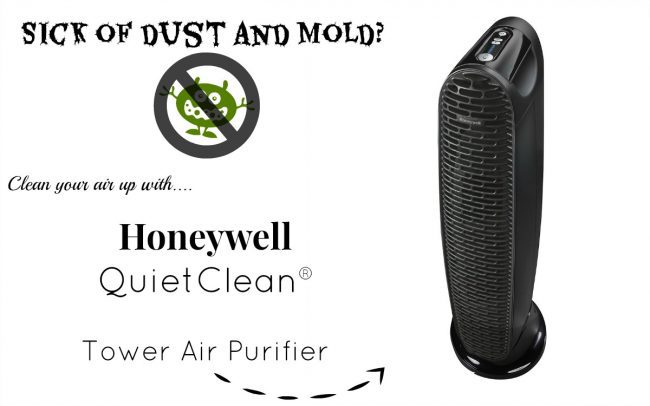 sick of dust and mold