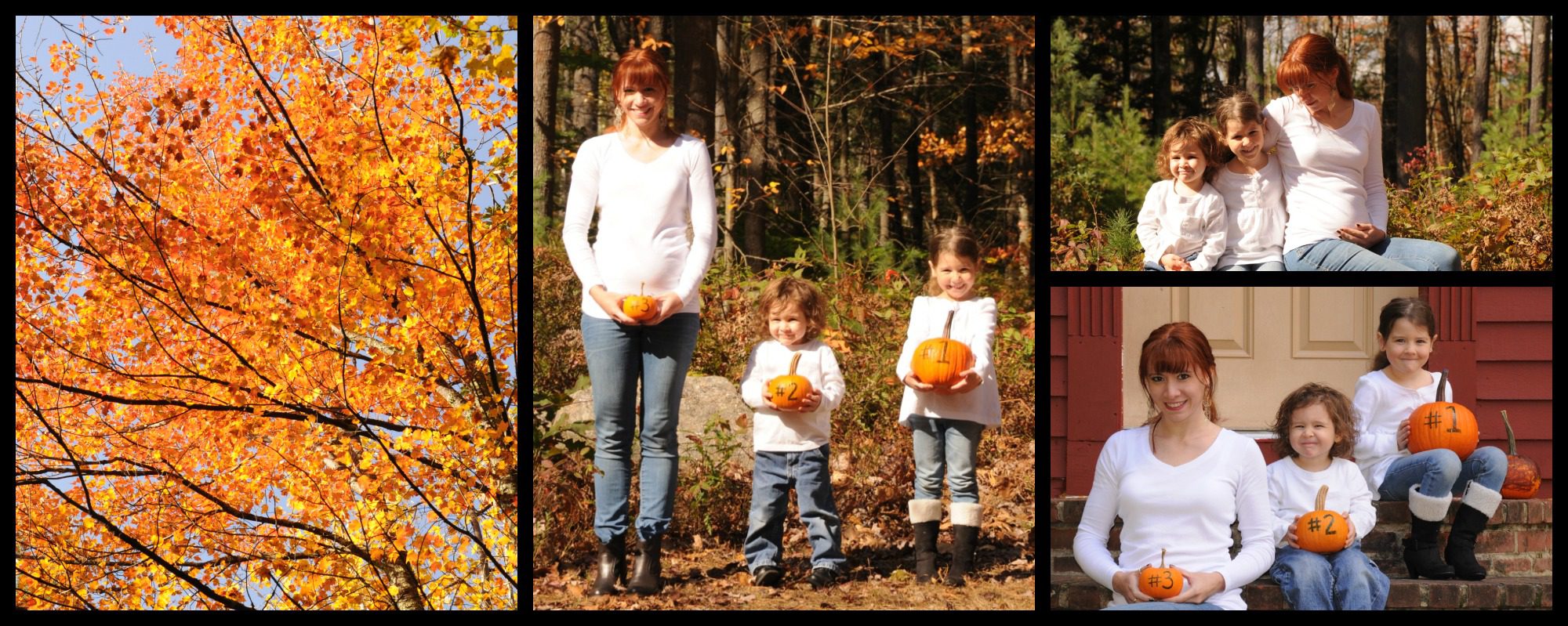 The Difference Professional Maternity Photography Makes