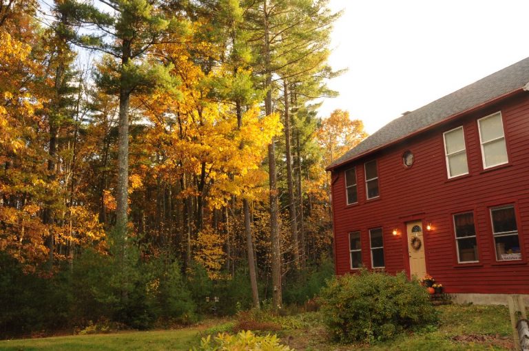 A Homeowner’s Mini-Guide to Today’s Top Roofing Materials