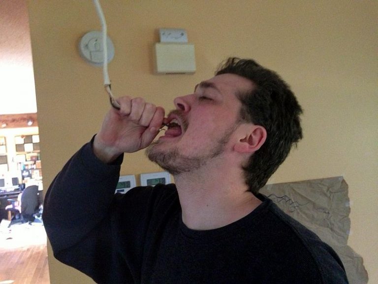 What to Look for When Hiring a Tradesman for Home Projects