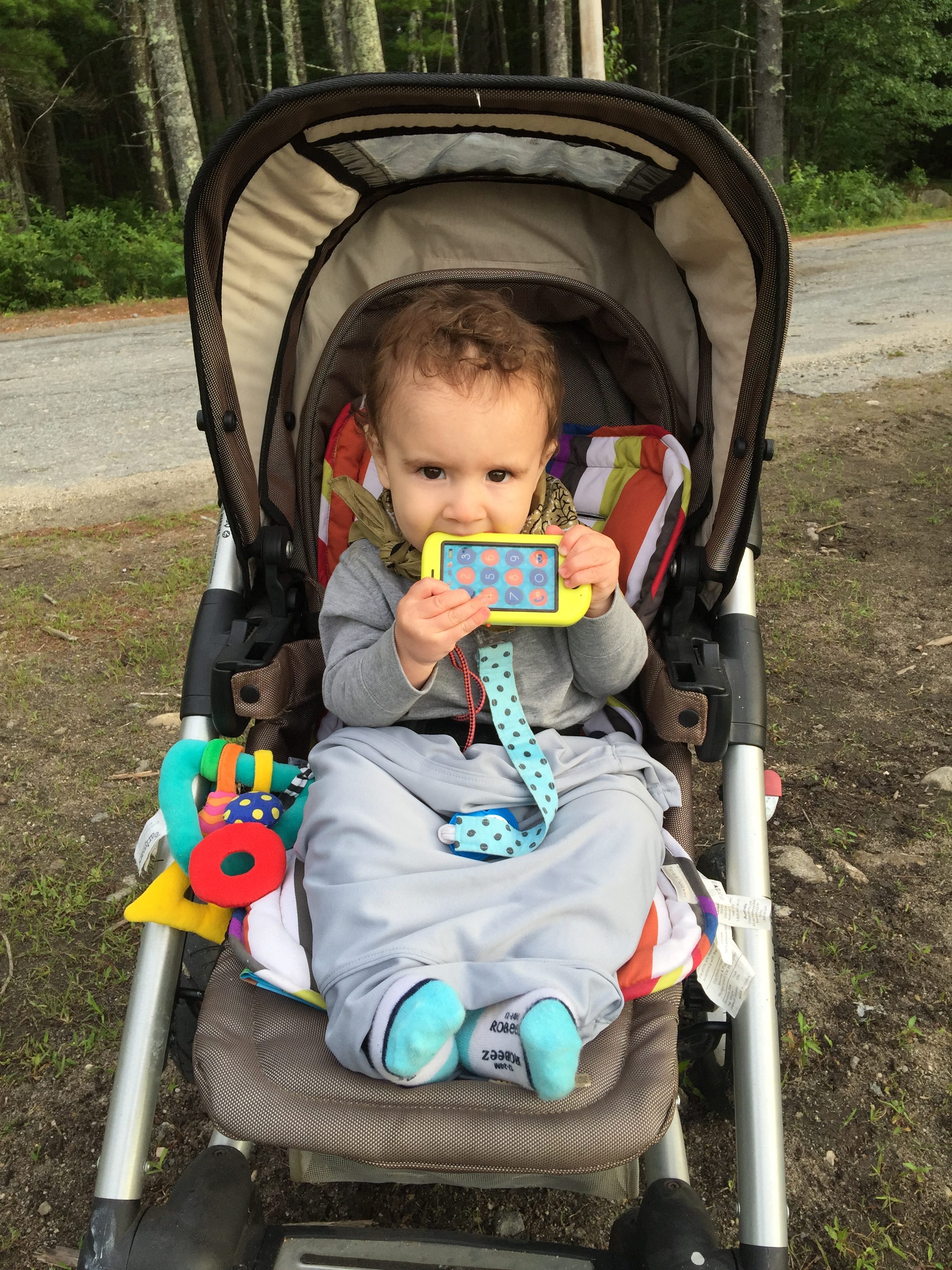 Best Stroller On The Market: Mutsy 4Rider Light