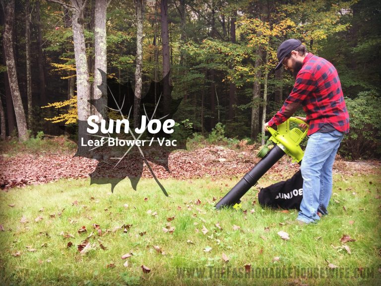 Fall Must-Have: Portable Leaf Blower Shredder/Vac