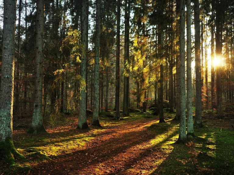 How To Air Out Your House Properly • The Fashionable Housewife