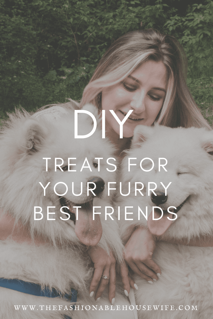 DIY Treats For Your Furry Best Friends