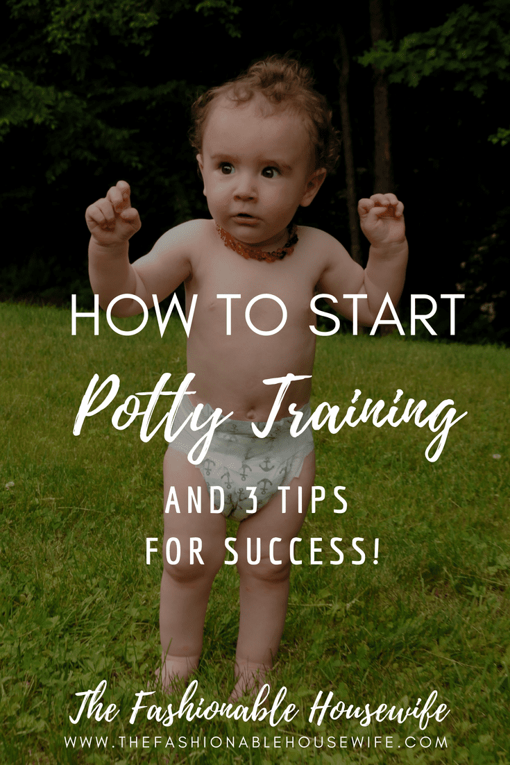 How To Start Potty Training And 3 Tips For Success! • The Fashionable