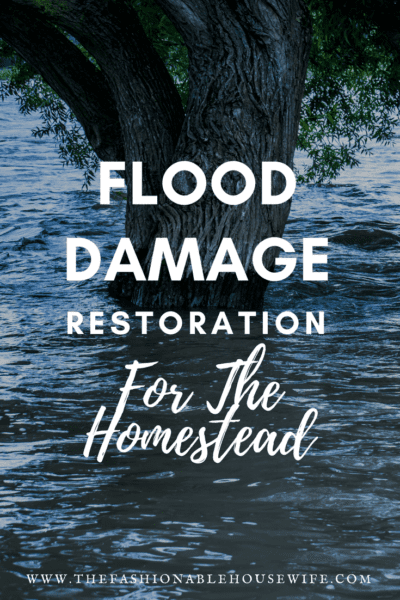 Flood Damage Restoration For The Homestead