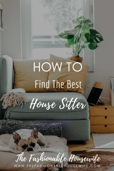 How To Find The Best House Sitter