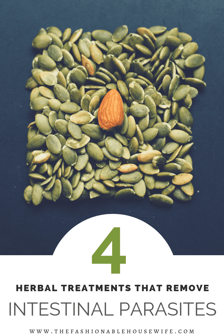 4 Herbal Treatments That Remove Intestinal Parasites