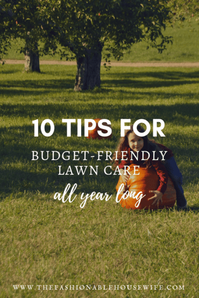 10 Tips For Budget-Friendly Lawn Care All Year Round