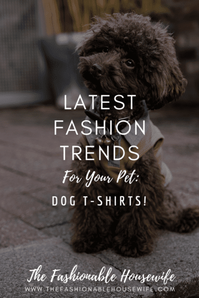 Latest Fashion Trends For Your Pet: Dog T-Shirts!