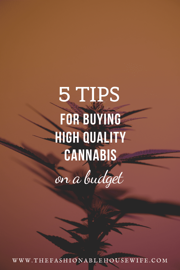 5 Tips For Buying High Quality Cannabis On A Budget