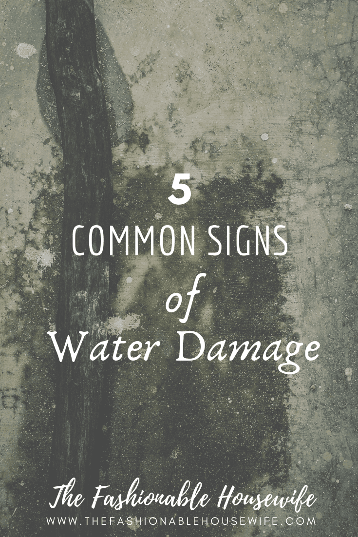 5 Common Signs Of Water Damage
