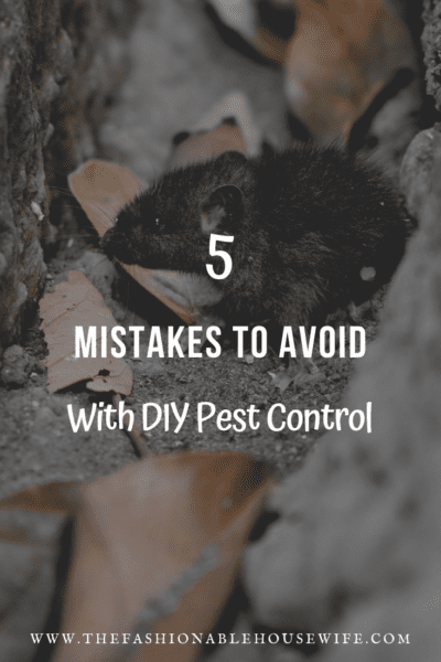 5 Mistakes To Avoid With DIY Pest Control