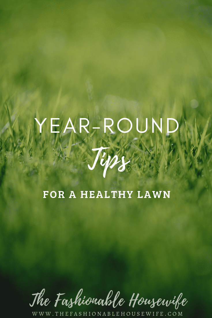 Year-Round Tips For A Healthy Lawn