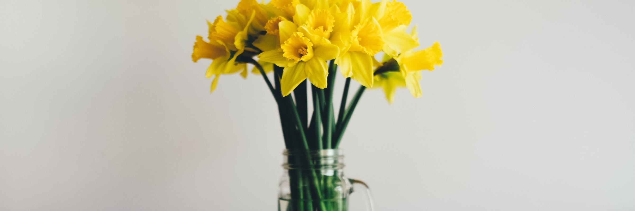 annie-spratt-197098-unsplash