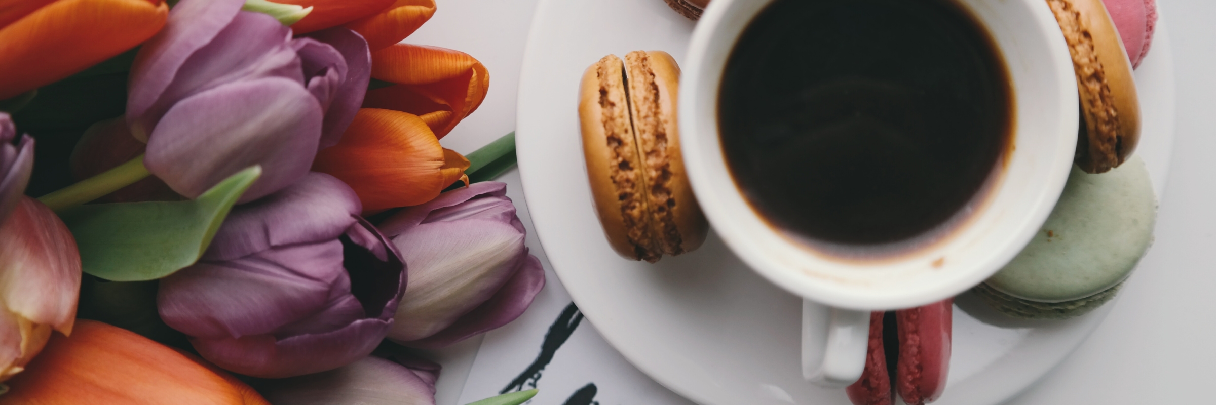 brigitte-tohm-209479-unsplash