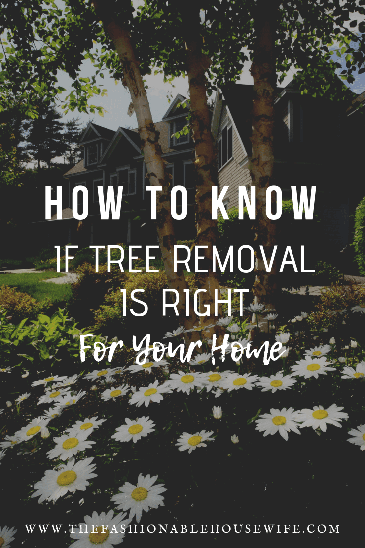 How To Know If Tree Removal Is Right For Your Home