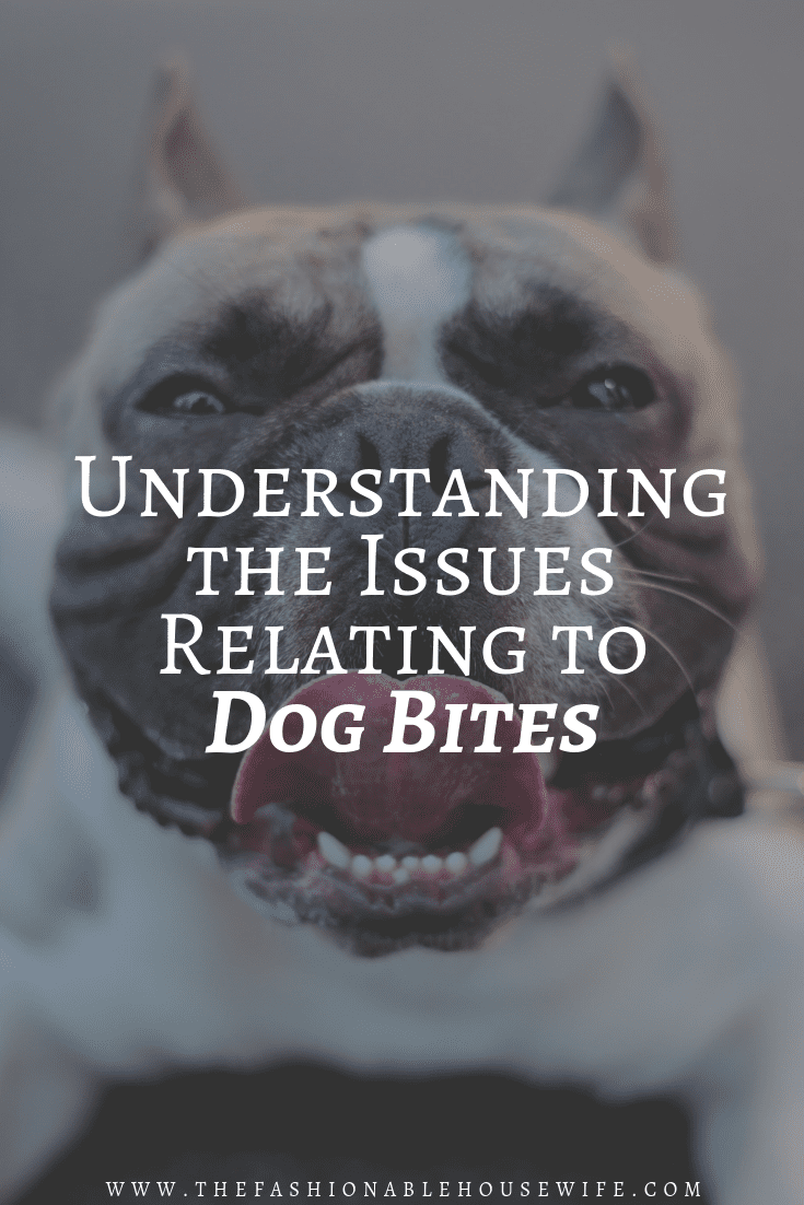 Dog Owners: Understanding The Issues Relating to Dog Bites