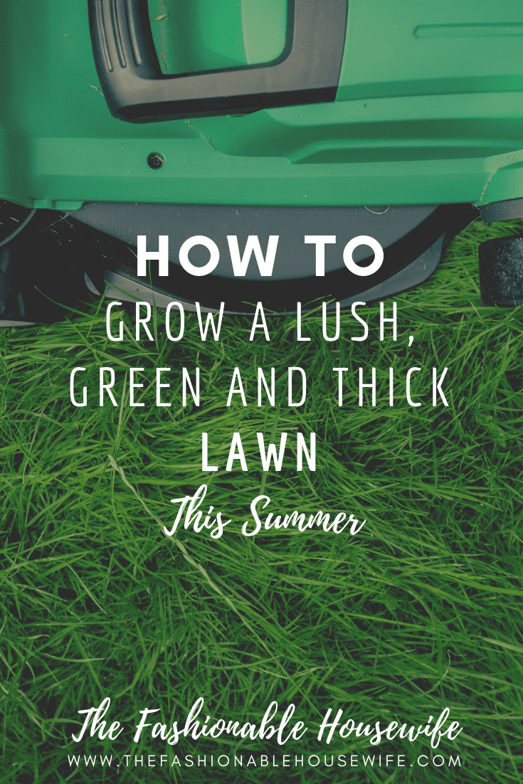How To Grow a Lush, Green and Thick Lawn
