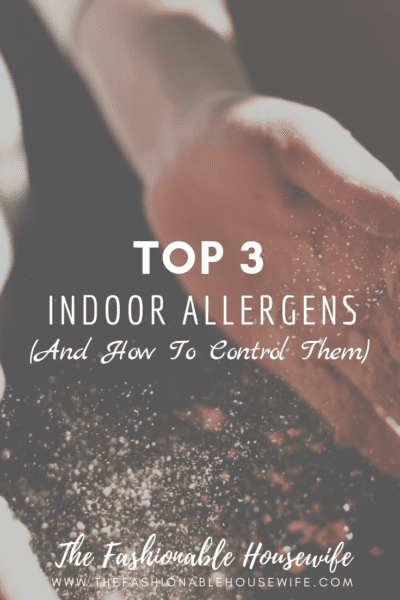 Top 3 Indoor Allergens (And How To Control Them)