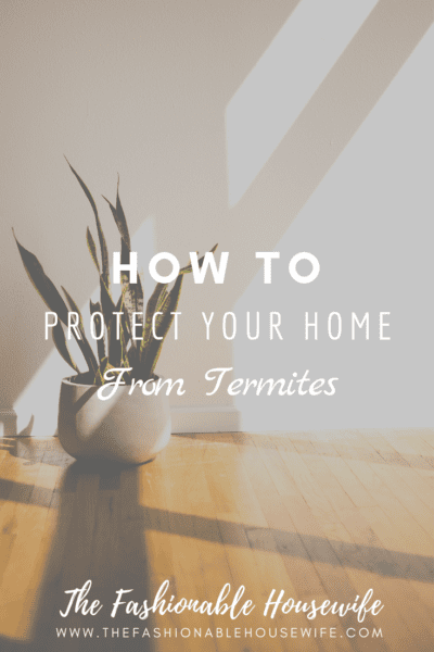 How To Protect Your Home From Termites