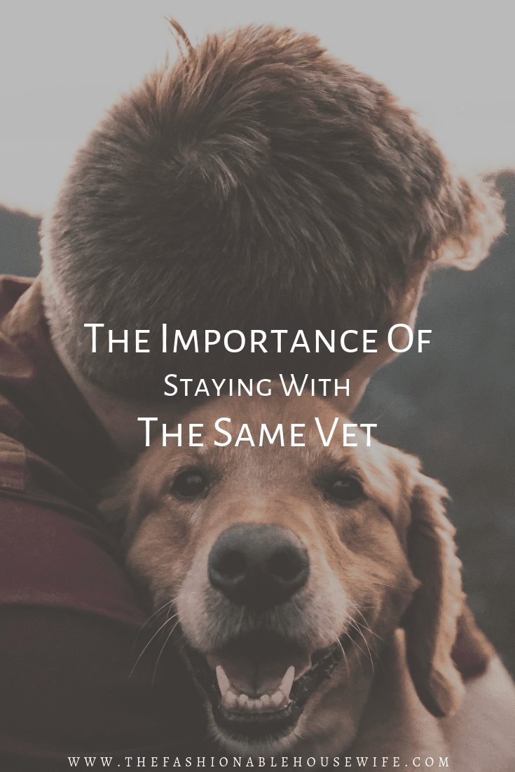 The Importance of Staying with the Same Vet