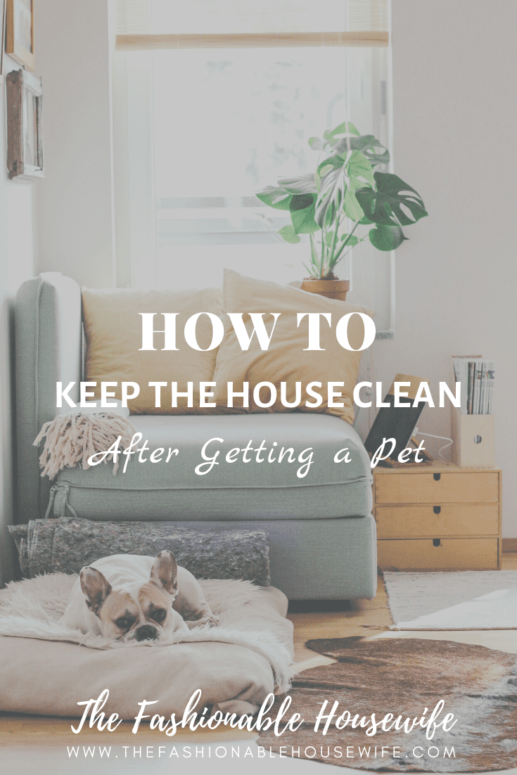 How To Keep the House Clean After Getting a Pet