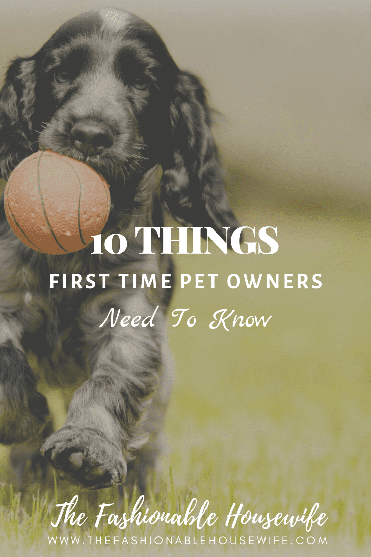 10 Things First Time Pet Owners Need To Know