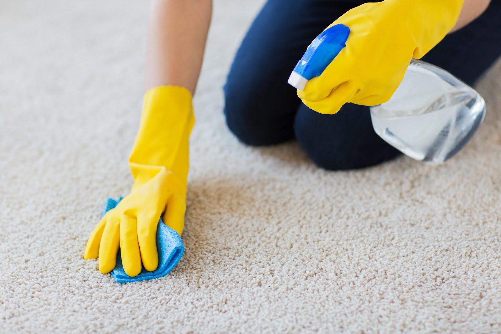 How To Remove Stubborn Carpet Stains On Your Rugs • The Fashionable