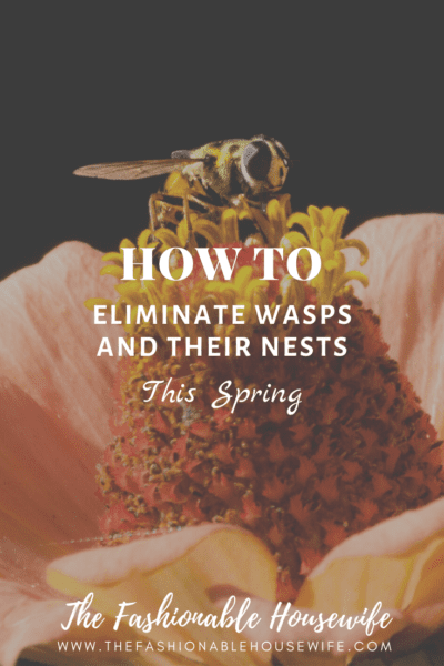 How To Eliminate Wasps and Their Nests This Spring