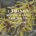 3 Things Witch Hazel Can Do To Combat Acne
