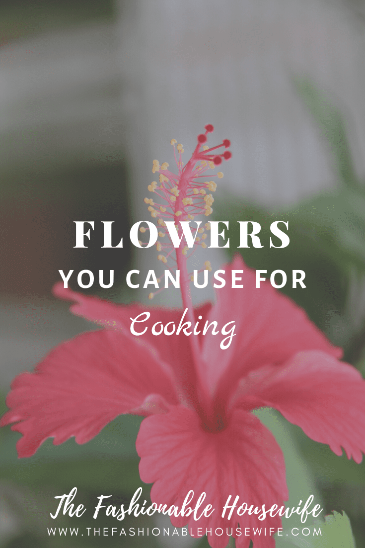 Flowers You Can Use for Cooking