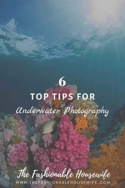 6 Top Tips For Underwater Photography