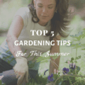 Top 5 Gardening Tips For This Summer