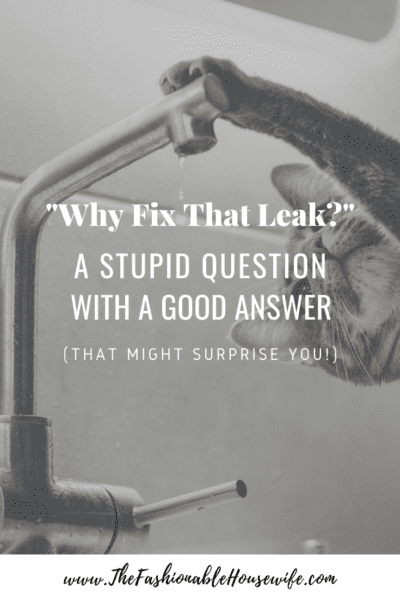 "Why Fix That Leak?" A Stupid Question With A Good Answer