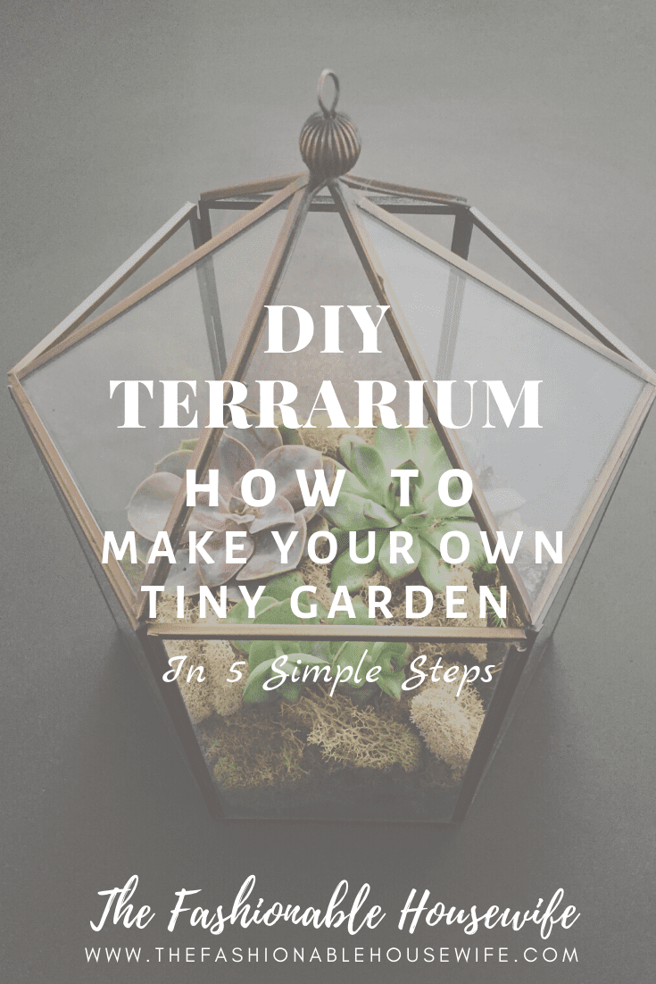 DIY Terrarium: How To Make Your Own Tiny Garden