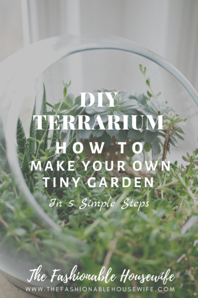 DIY Terrarium: How To Make Your Own Tiny Garden 