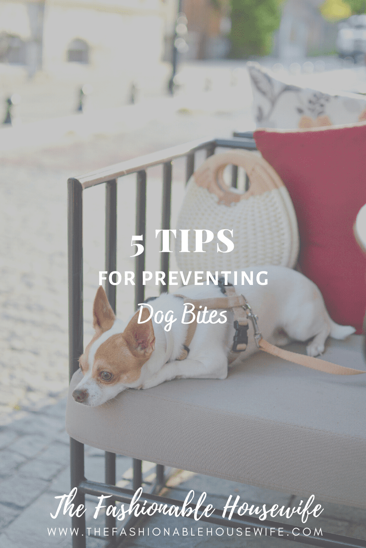 5 Tips For Preventing Dog Bites
