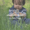 3 Lawn Care Trends For Better Living