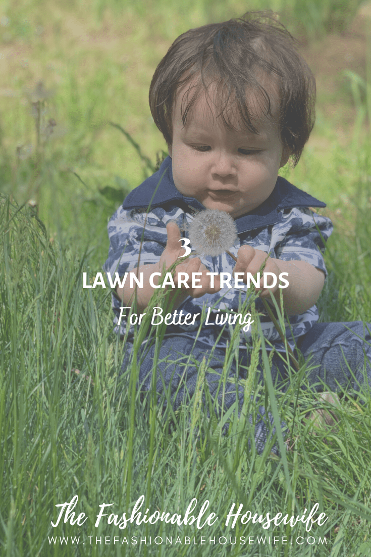 3 Lawn Care Trends For Better Living