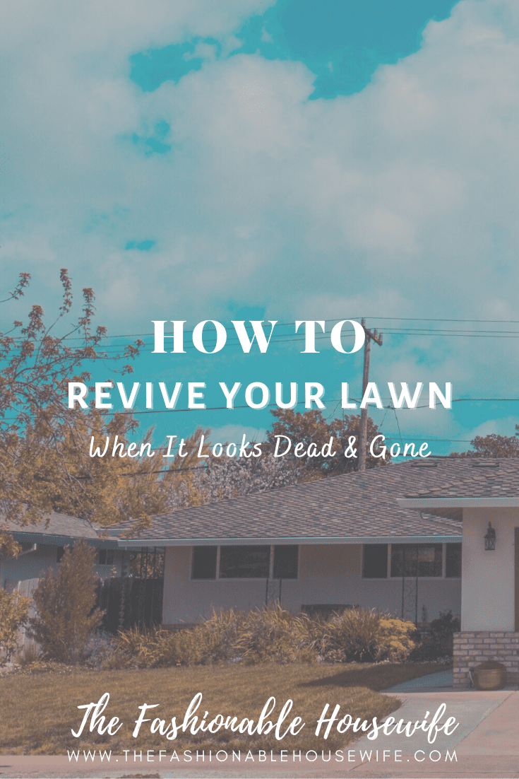 How To Revive Your Lawn When It Looks Dead & Gone