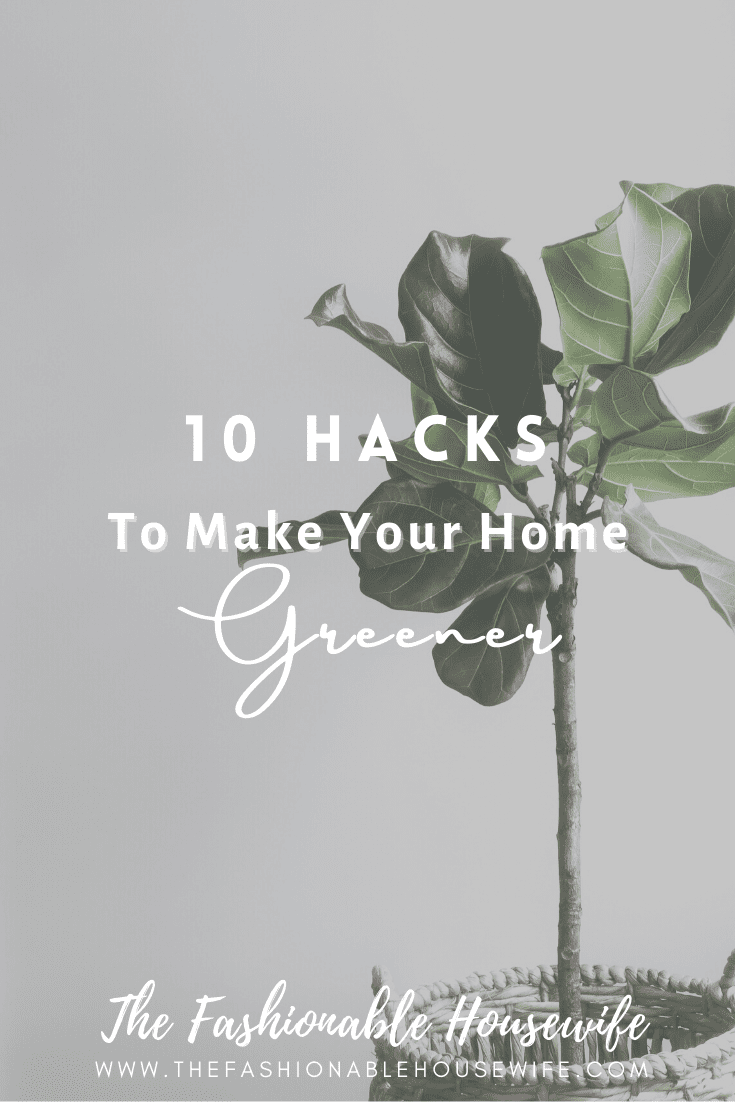 10 Hacks To Make Your Home Greener