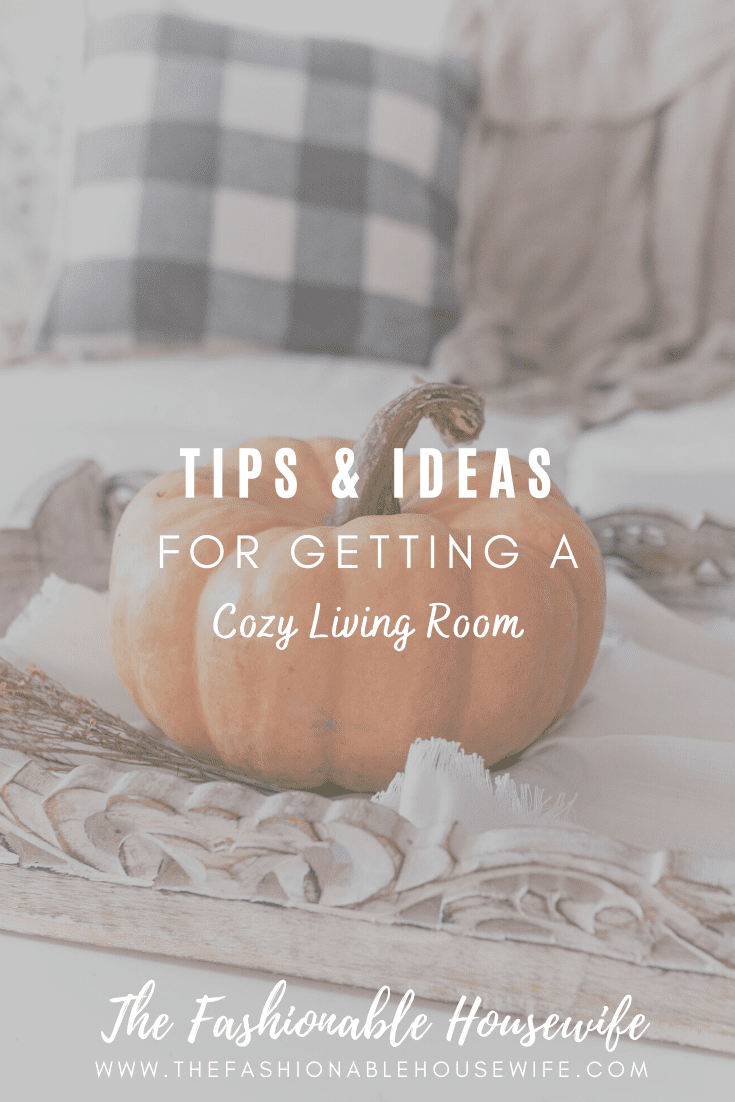 Cozy Living Room Tips And Ideas