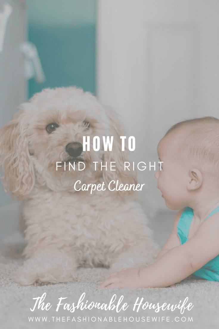 How To Find the Right Carpet Cleaner
